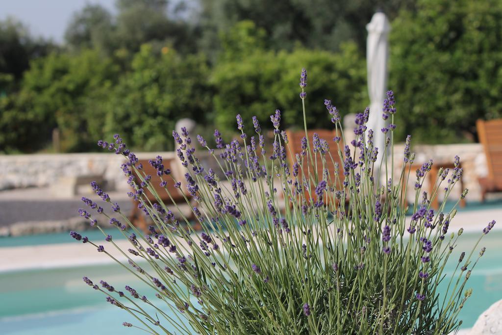 Agriturismo Masseria Saittole Carpignano Salentino Buitenkant foto